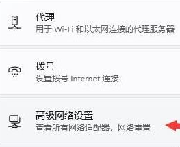 更多網略適配器選項
