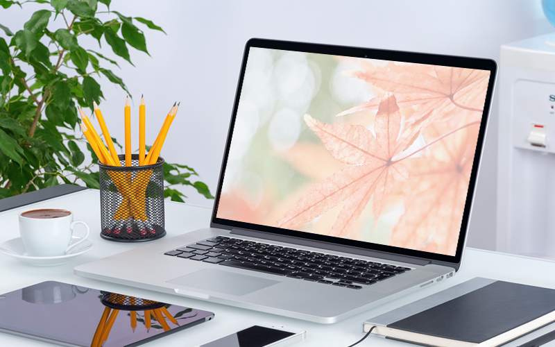 Thinkpad怎么一鍵重裝win10系統(tǒng)(一鍵重裝win10教程)